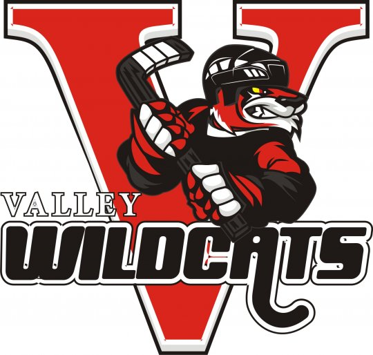 Valley Wildcats 2014 Unused Logo iron on heat transfer